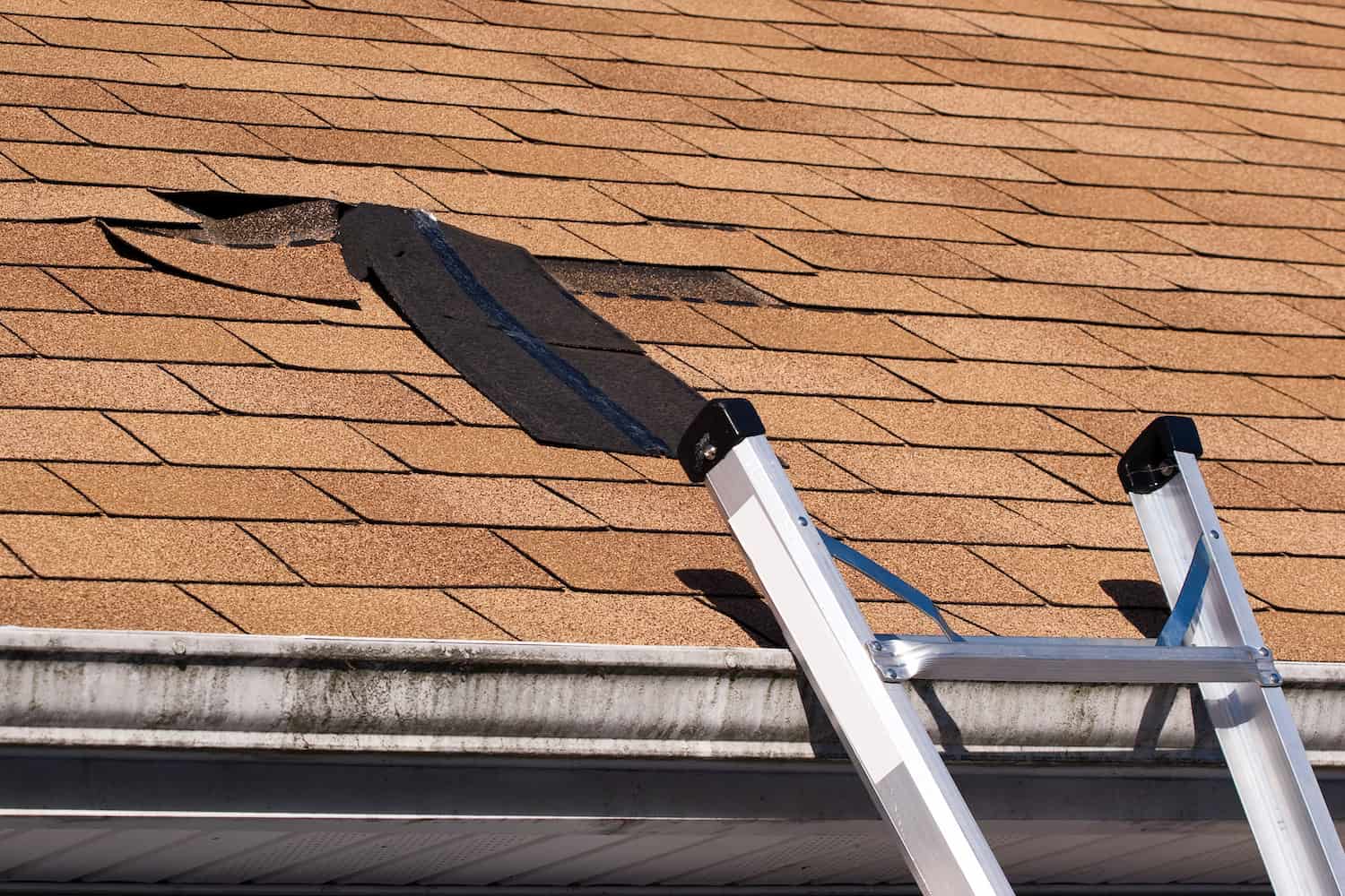huntersville roof repair ladder