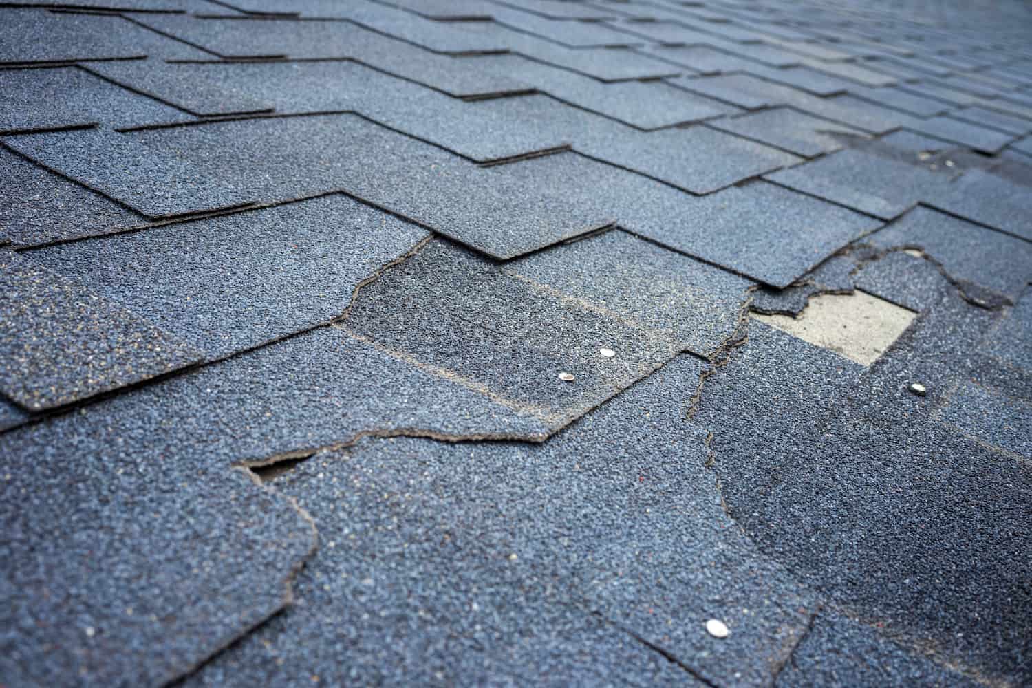 roof repair or replacement shingles