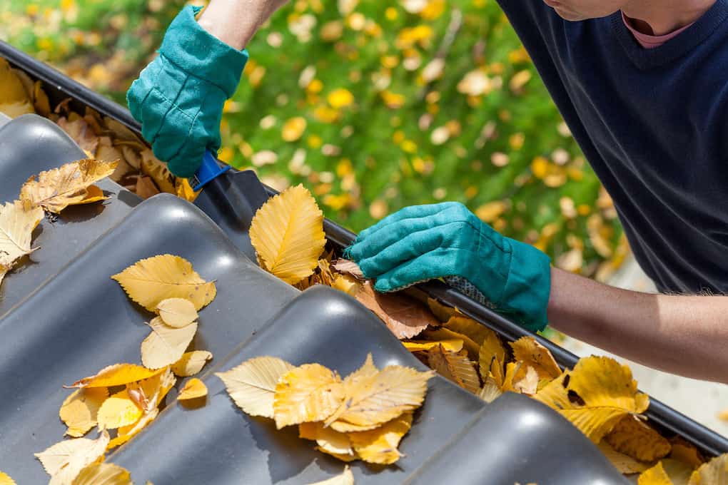 man cleaning clogged gutters on roof; roof repair or replacement