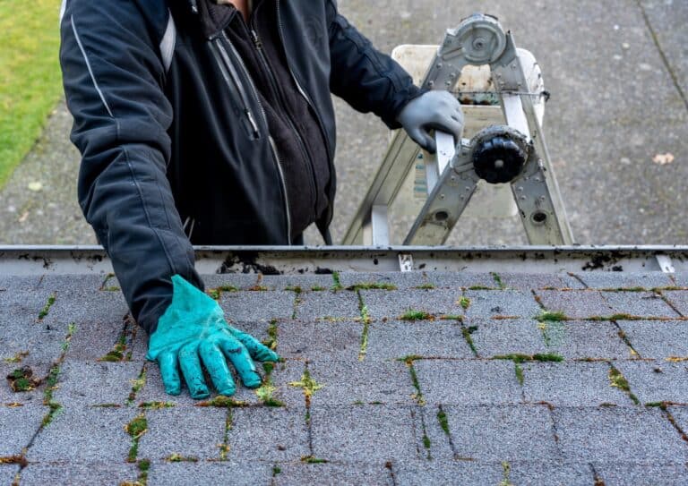 roof maintenance gutter cleaning