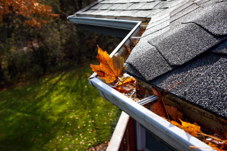 roof maintenance leaves in gutters