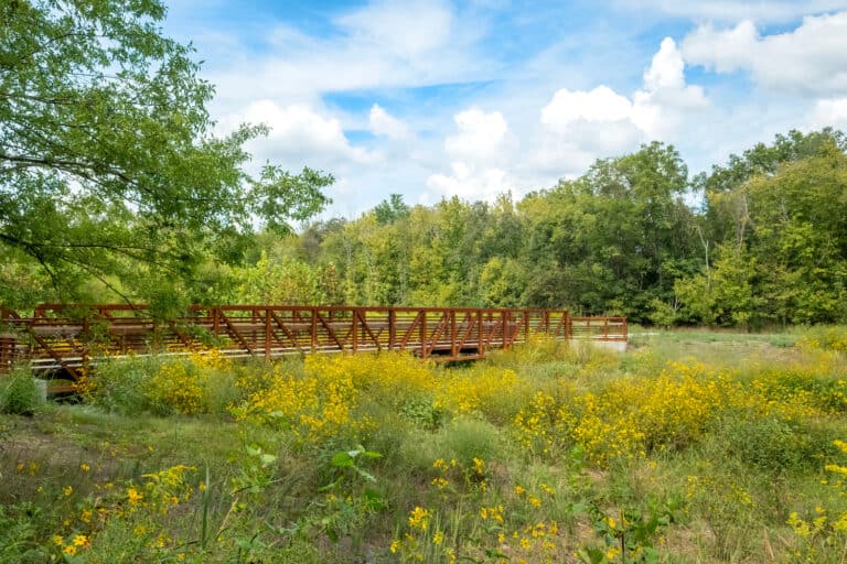 Bridge Over Torrence Creek Greenway, Huntersville, North Carolina