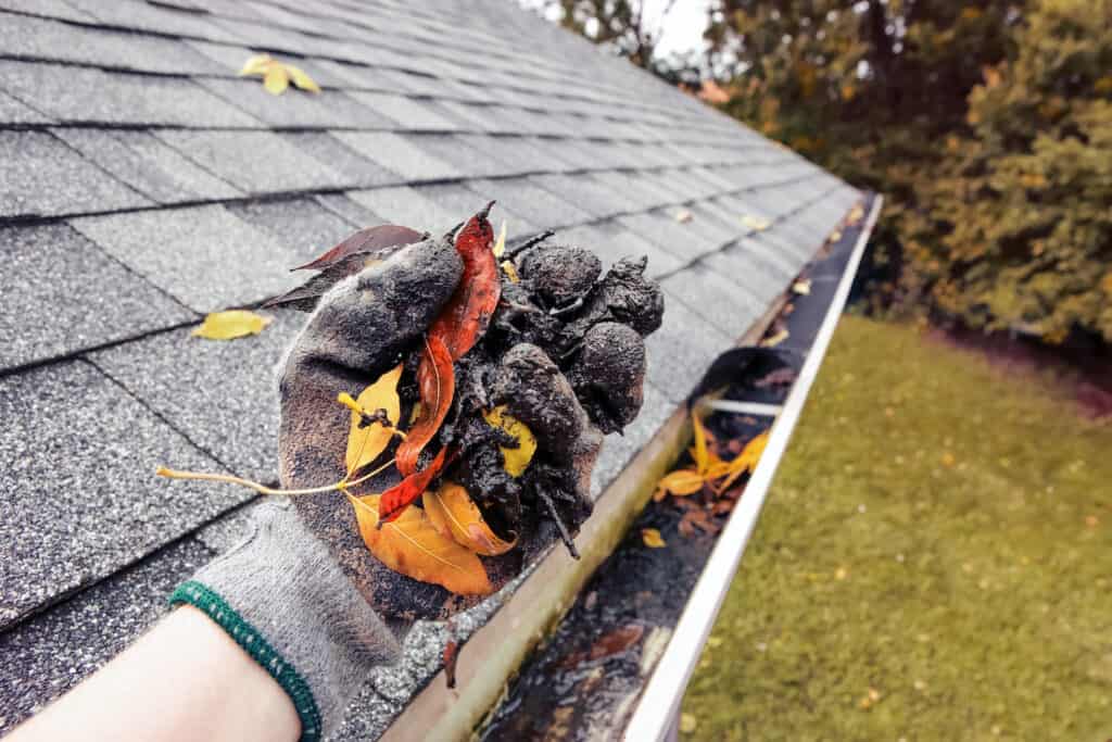 close up of a gloved hand holding leaves after performing gutter cleaning roof maintenance