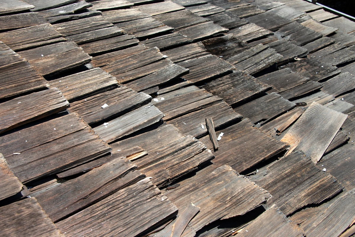 roof damage cedar shake rotting
