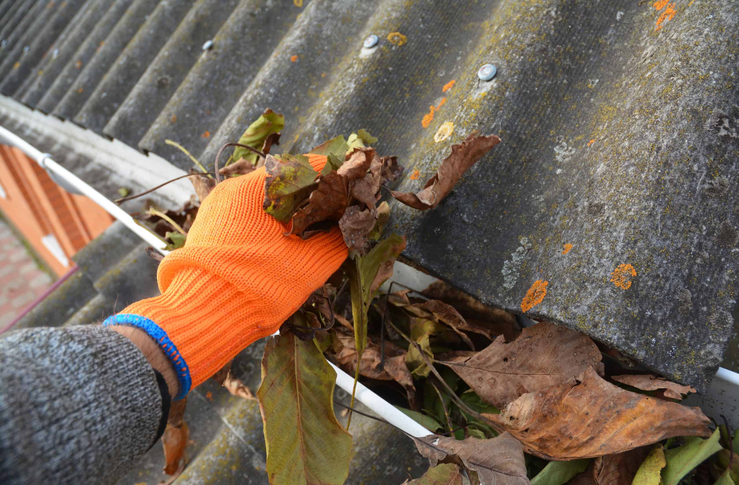 roof damage clogged gutters