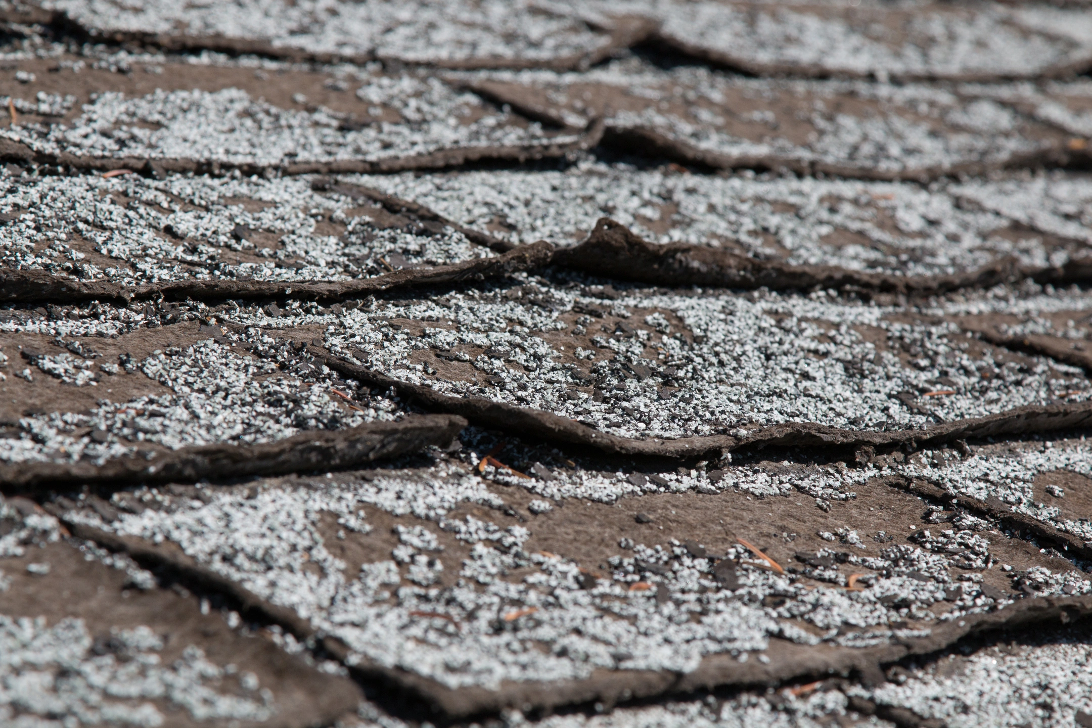 roof damage curling asphalt shingles