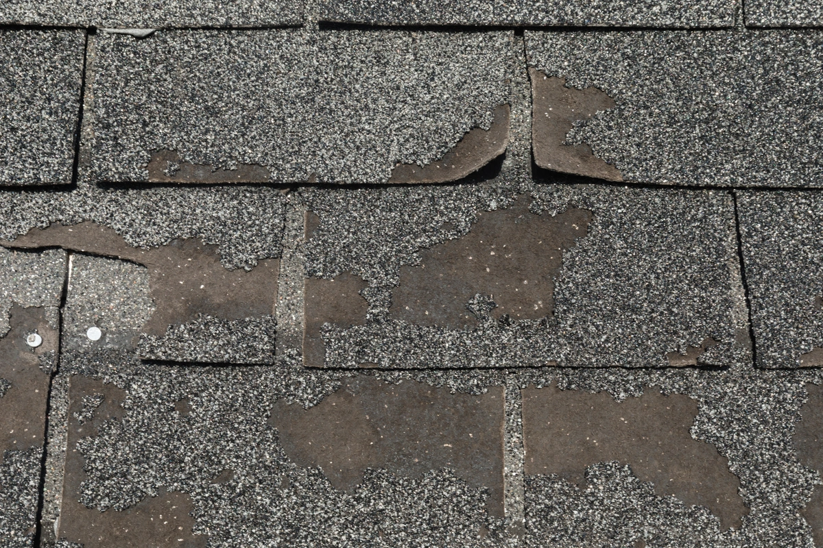 roof damage shingle granula loss
