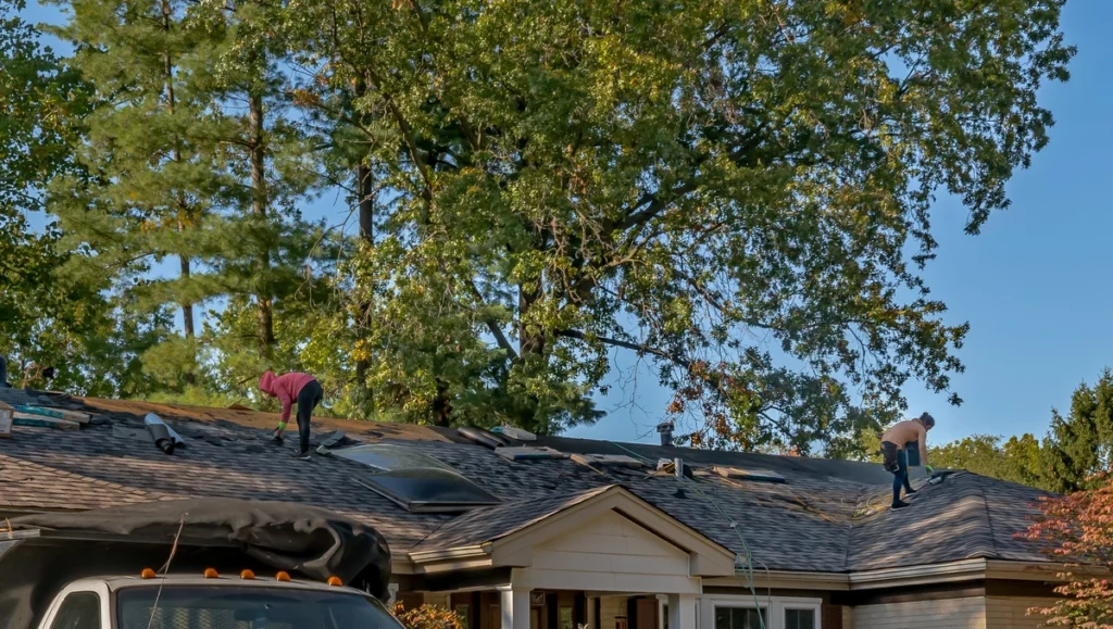 professionals removing old material and repairing the roof