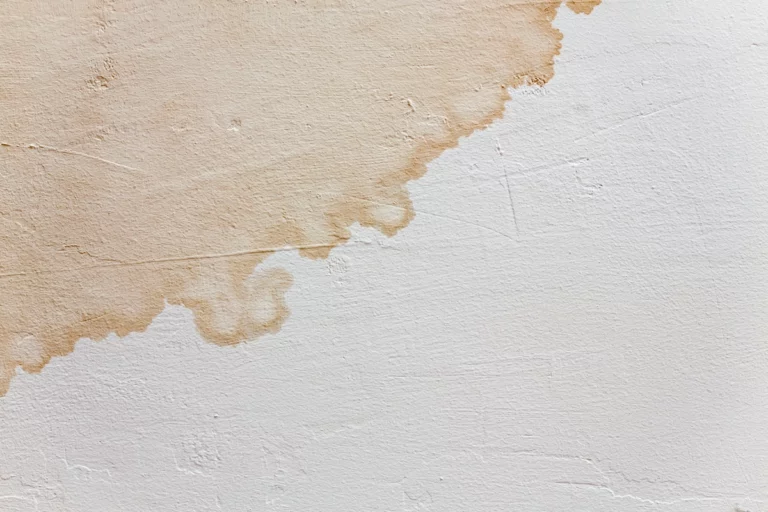 close up to water stains on the ceiling